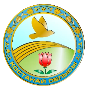 Костанай - ДЮСШ №2